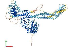 Protein Structure (PS) image for Dual serine/threonine and tyrosine Protein Kinase (DSTYK) (AA 1-929) protein (His tag) (ABIN7553732)