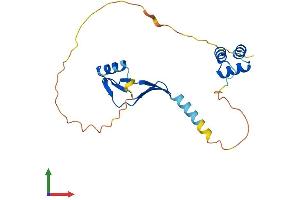 Protein Structure (PS) image for Nascent Polypeptide Associated Complex alpha 1 (NACa1) (AA 1-215) protein (His tag) (ABIN7557620)