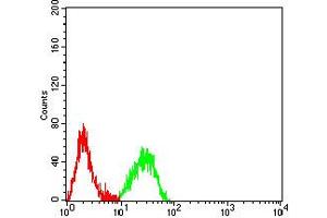 Flow Cytometry (FACS) image for anti-Killer Cell Lectin-Like Receptor Subfamily B, Member 1 (KLRB1) (AA 67-225) antibody (ABIN5611265)