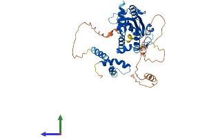 AlphaFold protein structure predicition of Human Recombinant MAEL Protein, UniprotID Q96JY0
