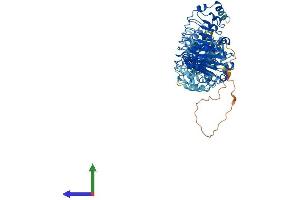 AlphaFold protein structure predicition of Mouse Recombinant Lrrc8a Protein, UniprotID Q80WG5