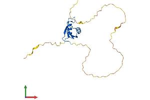 Protein Structure (PS) image for RNA Binding Protein with Multiple Splicing (RBPMS) (AA 1-197) protein (His tag) (ABIN7556313)