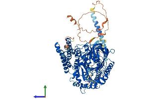 AlphaFold protein structure predicition of Human Recombinant TFR2 Protein, UniprotID Q9UP52