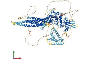 Protein Structure (PS) image for Signal Transducer and Activator of Transcription 2, 113kDa (STAT2) (AA 1-923) protein (His tag) (ABIN7565245)