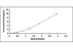 Desmoglein 2 (DSG2) ELISA Kit