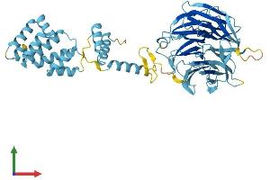 Protein Structure (PS) image for Smu-1 Suppressor of Mec-8 and Unc-52 Homolog (SMU1) (AA 1-513) protein (His tag) (ABIN7546287)