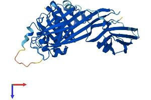 Protein Structure (PS) image for Adaptor-Related Protein Complex 1, mu 2 Subunit (AP1m2) (AA 1-423) protein (His tag) (ABIN7552164)