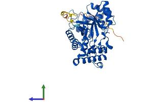 Protein Structure (PS) image for Aflatoxin Beta1 Aldehyde Reductase (AKR7A2) (AA 1-359) protein (His tag) (ABIN7552355)