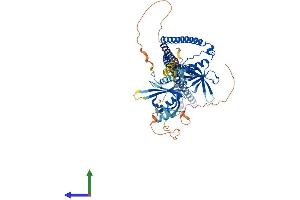 Protein Structure (PS) image for Adaptor Protein, phosphotyrosine Interaction, PH Domain and Leucine Zipper Containing 2 (APPL2) (AA 1-664) protein (His tag) (ABIN7547121)