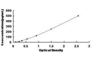 S100 Calcium Binding Protein A4 (S100A4) ELISA Kit