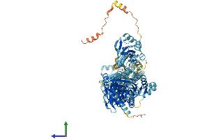 Protein Structure (PS) image for ATPase, Ca++ Transporting, Type 2C, Member 2 (ATP2C2) (AA 1-944) protein (His tag) (ABIN7562019)