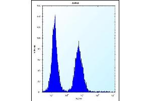 ABI2 Antibody (N-term) (ABIN656497 and ABIN2845772) flow cytometric analysis of Jurkat cells (right histogram) compared to a negative control cell (left histogram). (ABI2 抗体  (N-Term))