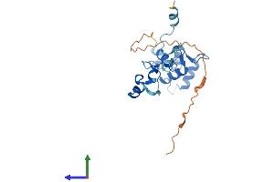 AlphaFold protein structure predicition of Mouse Recombinant Tppp Protein, UniprotID Q7TQD2