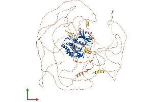 Protein Structure (PS) image for tau Tubulin Kinase 2 (TTBK2) (AA 1-1244) protein (His tag) (ABIN7555880)