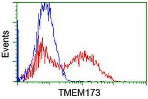 Image no. 1 for anti-Transmembrane Protein 173 (TMEM173) antibody (ABIN1501424) (STING/TMEM173 抗体)