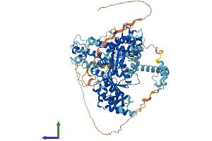 Protein Structure (PS) image for K(lysine) Acetyltransferase 2B (KAT2B) (AA 1-832) protein (His tag) (ABIN7554338)