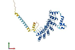 Protein Structure (PS) image for Ankyrin Repeat and SOCS Box Containing 5 (ASB5) (AA 1-329) protein (His tag) (ABIN7560873)
