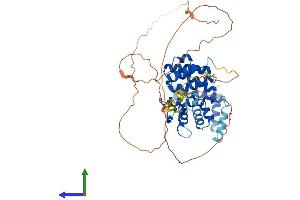 AlphaFold protein structure predicition of Mouse Recombinant Hycc1 Protein, UniprotID Q6P9N1