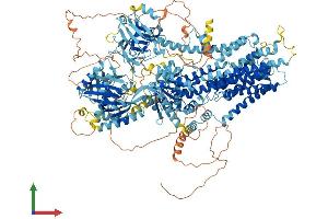 Protein Structure (PS) image for ATPase, Class V, Type 10D (ATP10D) (AA 1-1416) protein (His tag) (ABIN7564642)