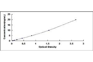 Typical standard curve (ANGPTL7 ELISA 试剂盒)