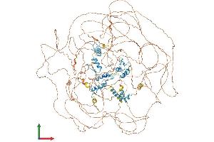 Protein Structure (PS) image for GLI Family Zinc Finger 3 (GLI3) (AA 1-1583) protein (His tag) (ABIN7563924)