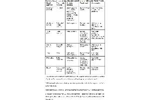 Image no. 1 for MagSi-S Hydrazide 3.0 beads (ABIN1721112)