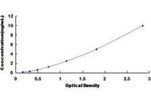ELISA image for Solute Carrier Family 5 (Sodium/glucose Cotransporter), Member 1 (SLC5A1) ELISA Kit (ABIN420011)