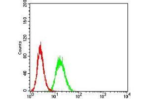 Flow cytometric analysis of Hela cells using C3C mouse mAb (green) and negative control (red). (Complement C3c 抗体  (AA 1521-1649))