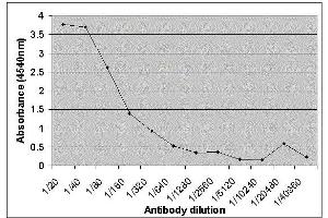 ELISA image for anti-Lactalbumin, alpha- (LALBA) antibody (ABIN2477393) (LALBA 抗体)