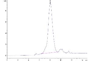 Size-exclusion chromatography-High Pressure Liquid Chromatography (SEC-HPLC) image for Galectin 3 (LGALS3) (AA 2-264) protein (His tag) (ABIN7274752)