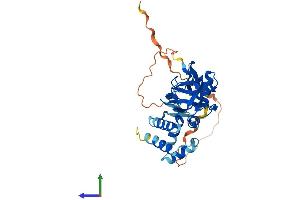 Protein Structure (PS) image for GIPC PDZ Domain Containing Family, Member 1 (GIPC1) (AA 1-333) protein (His tag) (ABIN7547914)
