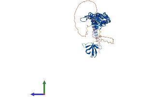 Protein Structure (PS) image for Protein Kinase C and Casein Kinase Substrate in Neurons 1 (PACSIN1) (AA 1-444) protein (His tag) (ABIN7554849)