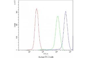 Flow cytometry testing of human PC-3 cells with SYT1 antibody at 1ug/10^6 cells (blocked with goat sera) (SYT1 抗体)