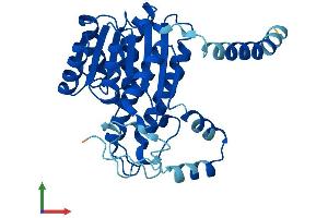 AlphaFold protein structure predicition of Human Recombinant DHRS3 Protein, UniprotID O75911