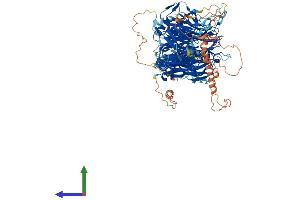 Protein Structure (PS) image for Syntaxin Binding Protein 5 (Tomosyn) (STXBP5) (AA 1-1152) protein (His tag) (ABIN7564663)