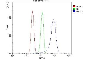 Flow Cytometry analysis of U87 cells using anti-SHMT1 antibody (ABIN7599421).