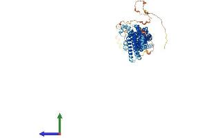 Protein Structure (PS) image for Component of Oligomeric Golgi Complex 8 (COG8) (AA 1-640) protein (His tag) (ABIN7561575)
