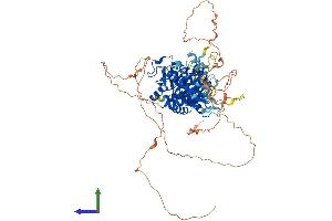 AlphaFold protein structure predicition of Human Recombinant TTLL3 Protein, UniprotID Q9Y4R7