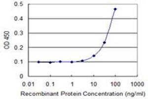 Detection limit for recombinant GST tagged MRPS22 is 3 ng/ml as a capture antibody. (MRPS22 抗体  (AA 1-360))