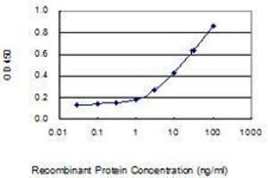 ELISA image for anti-Amylase, alpha 1A (Salivary) (AMY1A) (AA 172-245) antibody (ABIN559865)