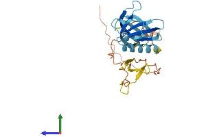 Protein Structure (PS) image for Pleckstrin Homology Domain Containing, Family B (Evectins) Member 1 (PLEKHB1) (AA 1-243) protein (His tag) (ABIN7550824)