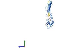 Protein Structure (PS) image for Ring Finger Protein 151 (RNF151) (AA 1-239) protein (His tag) (ABIN7560506)