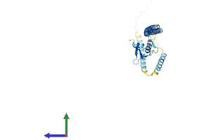 AlphaFold protein structure predicition of Human Recombinant CENPK Protein, UniprotID Q9BS16