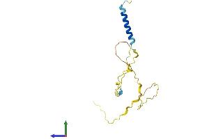 AlphaFold protein structure predicition of Mouse Recombinant Dbndd2 Protein, UniprotID Q9CRD4