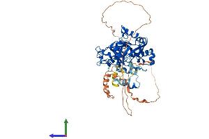 AlphaFold protein structure predicition of Human Recombinant KDM4D Protein, UniprotID Q6B0I6