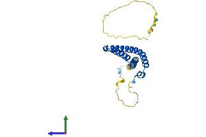 Protein Structure (PS) image for Occludin/ELL Domain Containing 1 (OCEL1) (AA 1-219) protein (His tag) (ABIN7559829)