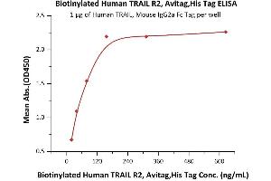 Immobilized Human TRAIL, Mouse IgG2a Fc Tag (ABIN6933657,ABIN6938881) at 10 μg/mL (100 μL/well) can bind Biotinylated Human TRAIL R2, Avitag,His Tag (ABIN3137686,ABIN5674027) with a linear range of 2-78 ng/mL (QC tested).