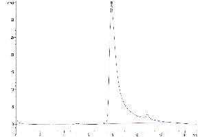 Size-exclusion chromatography-High Pressure Liquid Chromatography (SEC-HPLC) image for CD40 Ligand (CD40LG) (AA 113-261), (Trimer) protein (His-DYKDDDDK Tag) (ABIN7274318)