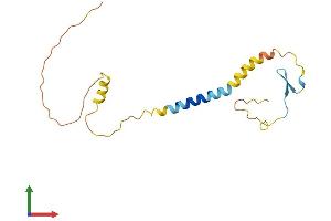 Protein Structure (PS) image for Killer Cell Lectin-Like Receptor Subfamily C, Member 4 (KLRC4) (AA 1-158) protein (His tag) (ABIN7549793)