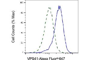 Validation of VPS41 knockdown using flow cytometry. (Recombinant VPS41 抗体)